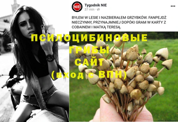 винт Абдулино