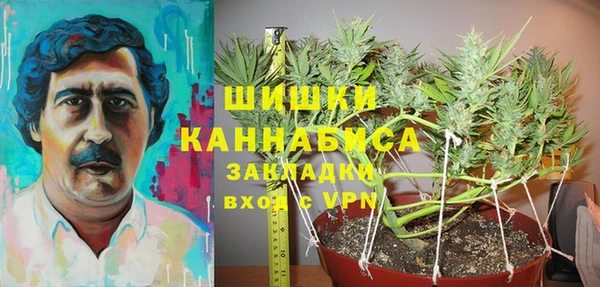 ГАЛЛЮЦИНОГЕННЫЕ ГРИБЫ Абаза