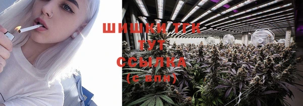 винт Нягань