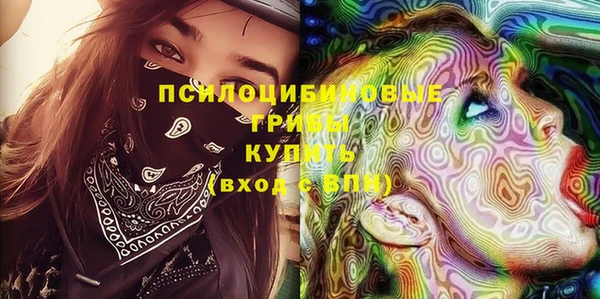 ГАЛЛЮЦИНОГЕННЫЕ ГРИБЫ Абаза